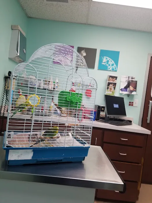 Allenwood Animal Hospital Picture 7