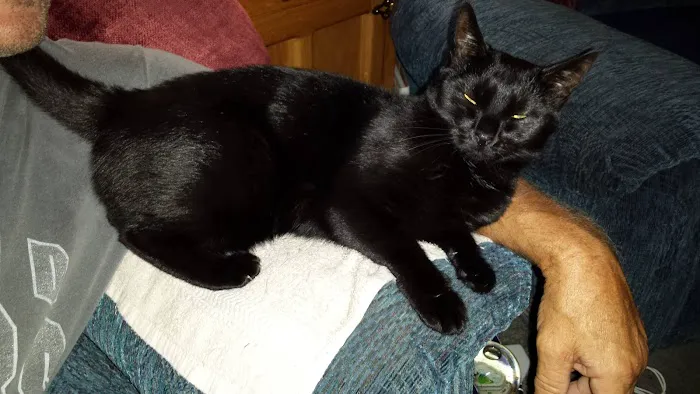 Allenwood Animal Hospital Picture 8