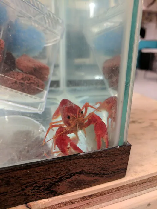 Luckys Aquarium Picture 3