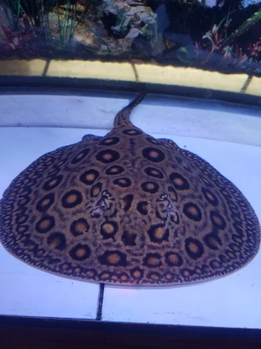 Luckys Aquarium Picture 2