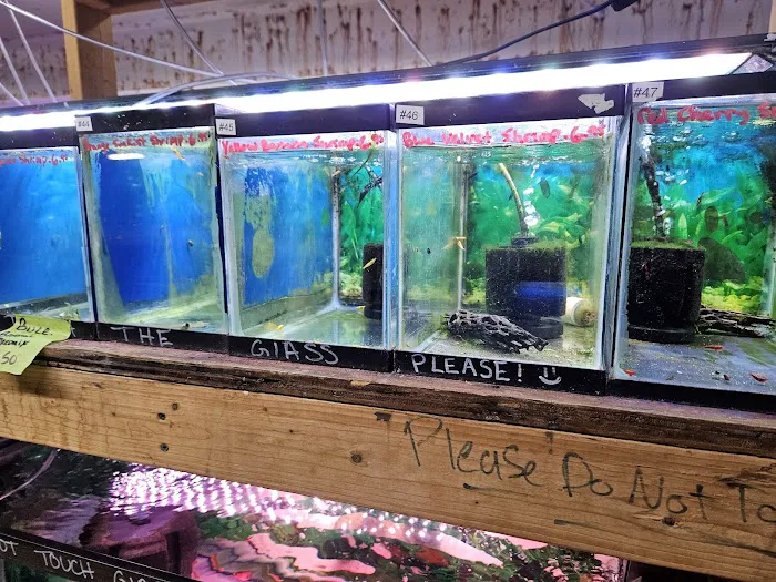 Luckys Aquarium Picture 5