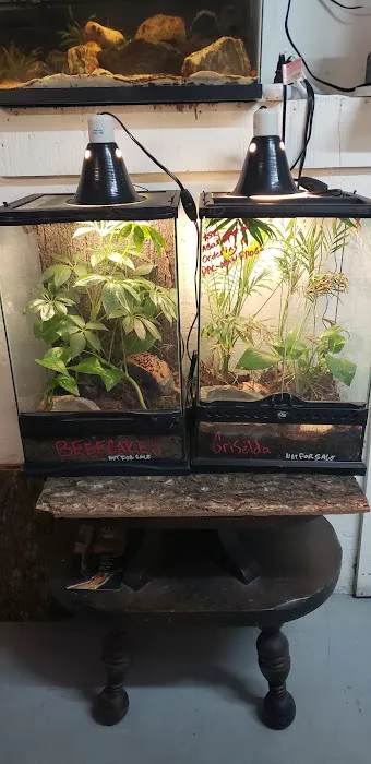 Luckys Aquarium Picture 4