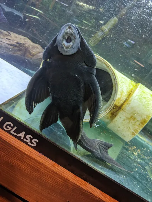 Luckys Aquarium Picture 9