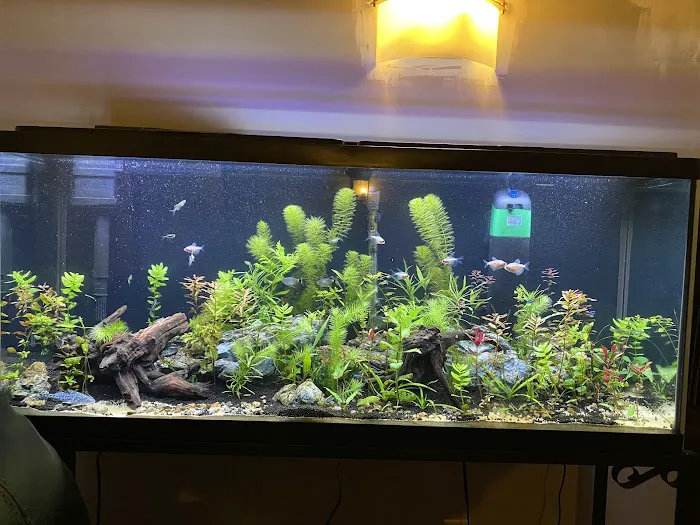 Luckys Aquarium Picture 8