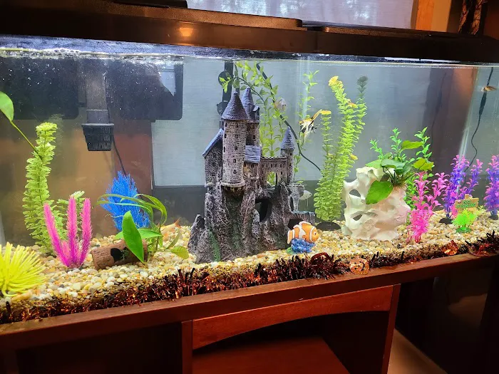 Luckys Aquarium Picture 10