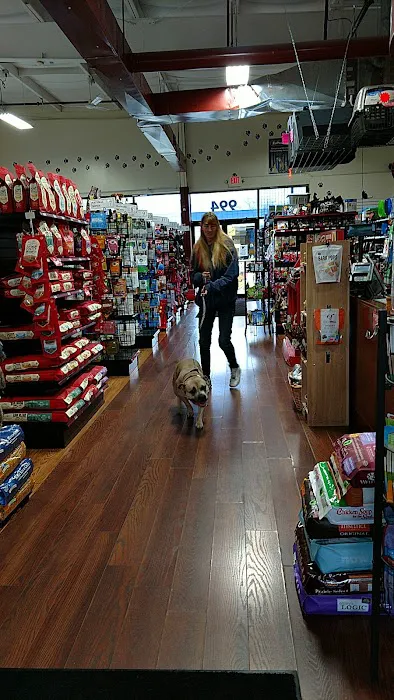 Gibson's Natural Pet Picture 5