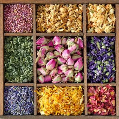 Opyulnt; Botanical Soap Products Picture 7