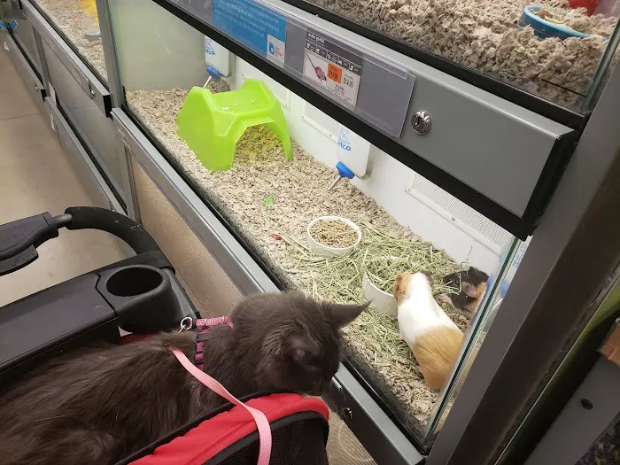 Petco Picture 1