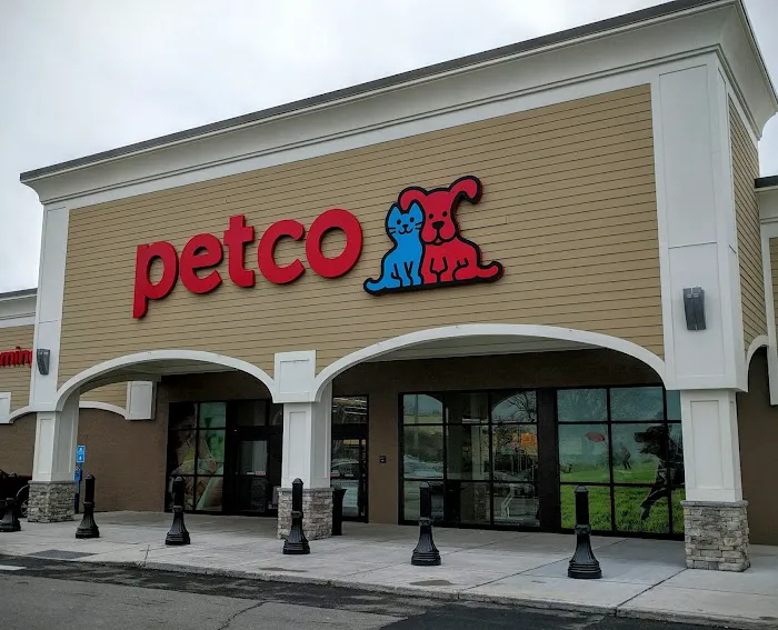 Petco Picture 2