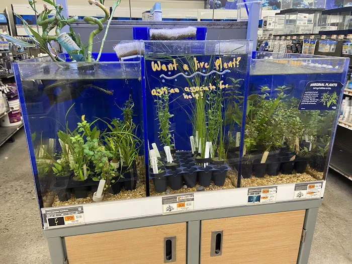 Petco Picture 3