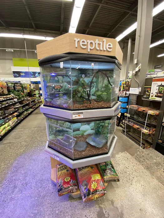 Petco Picture 4