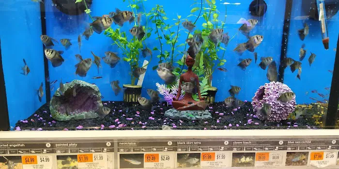 Petco Picture 10