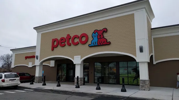 Petco Picture 7