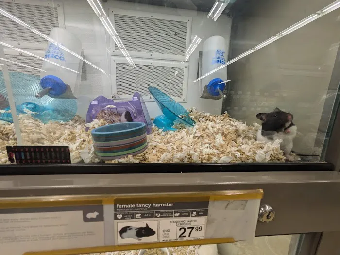 Petco Picture 1