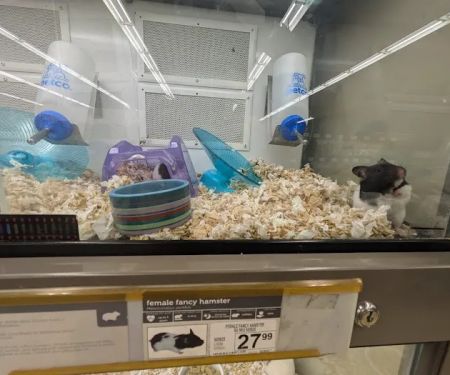 Petco