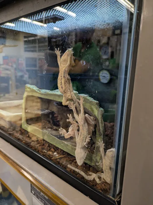 Petco Picture 3