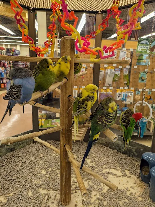 Petco Picture 4