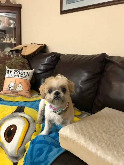 Petco Picture 6