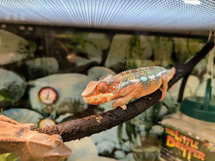 Petco Picture 5