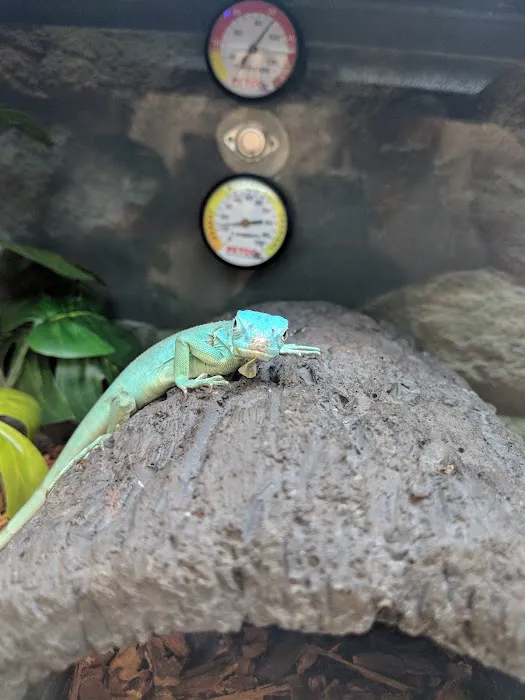 Petco Picture 7