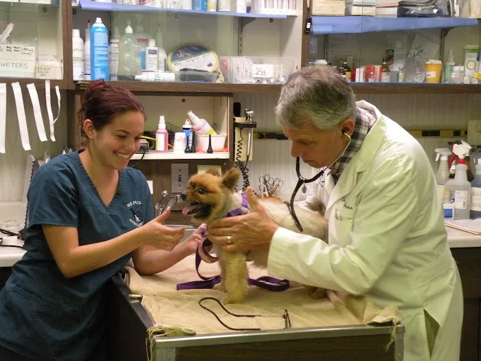 Berg Animal Hospital Picture 3