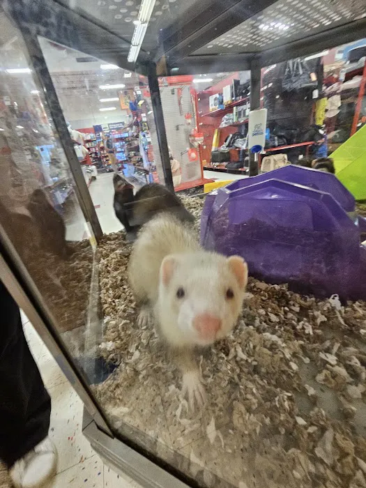 Petco Picture 1