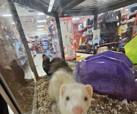 Petco