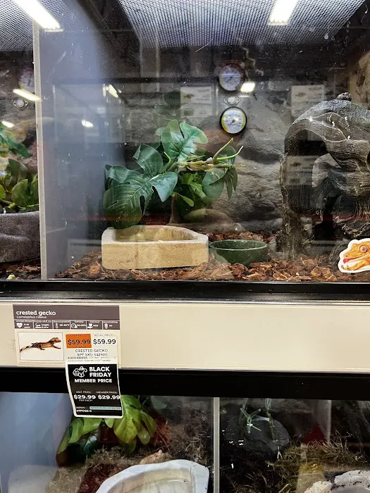 Petco Picture 4