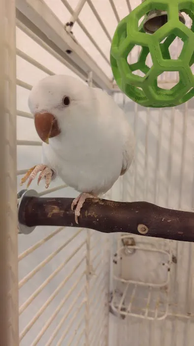 Petco Picture 5