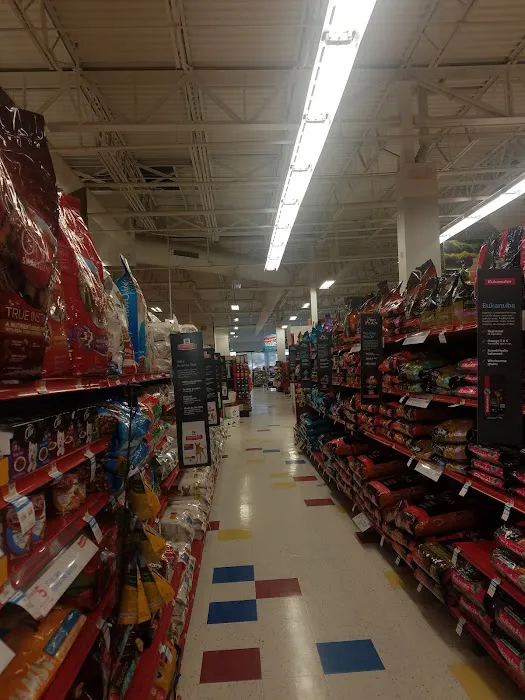 Petco Picture 9