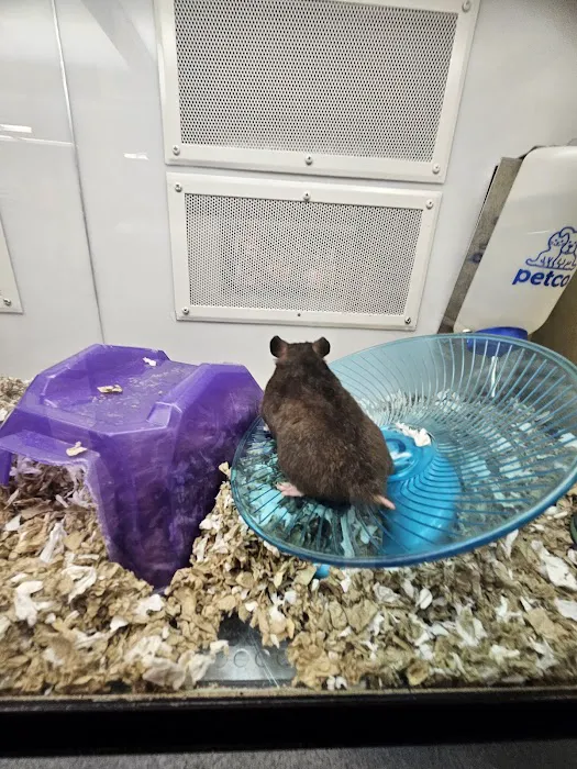 Petco Picture 10