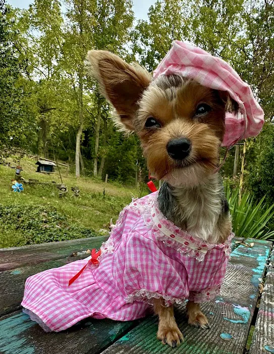 BluePearl Pet Hospital Picture 8
