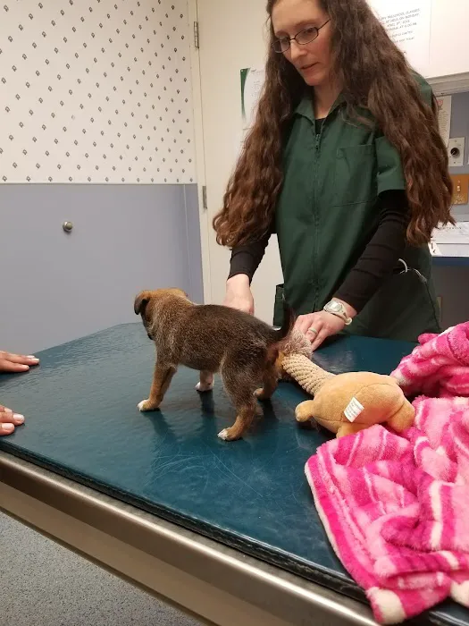 Wyomissing Animal Hospital Picture 4