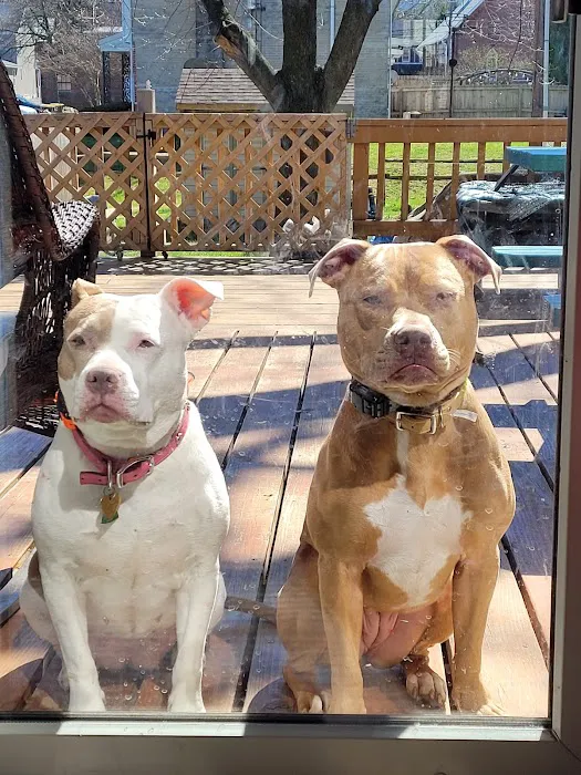 Wyomissing Animal Hospital Picture 5