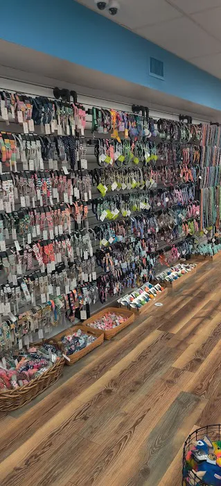 Sea Dog Pet Boutique Picture 1