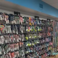 Sea Dog Pet Boutique ico