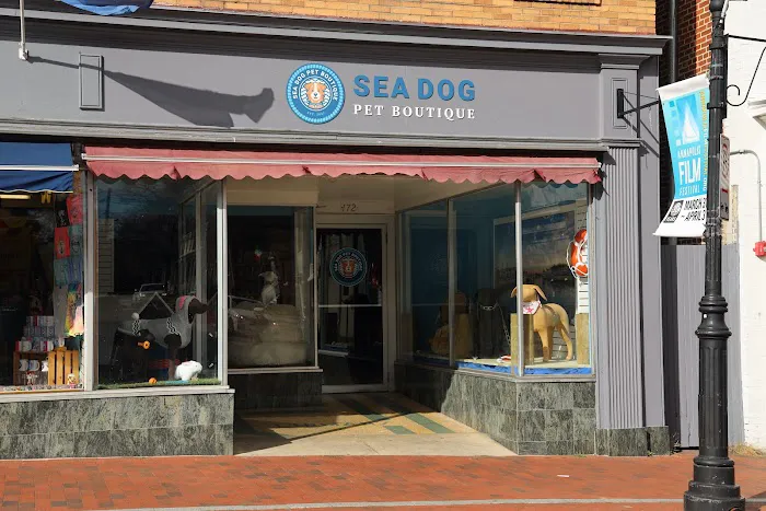 Sea Dog Pet Boutique Picture 3