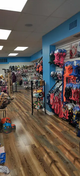 Sea Dog Pet Boutique Picture 4