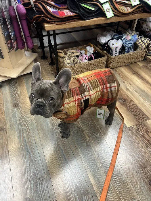 Sea Dog Pet Boutique Picture 5