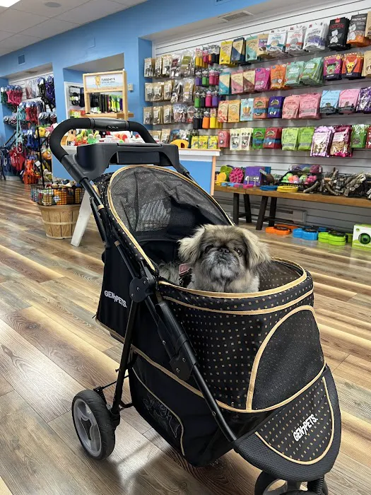 Sea Dog Pet Boutique Picture 10