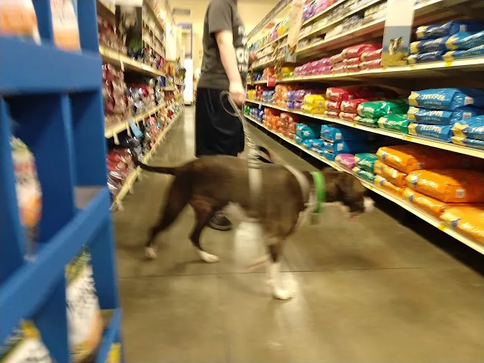 Petco Picture 3