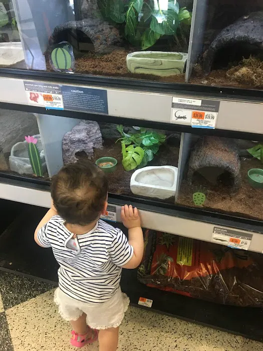 Petco Picture 2