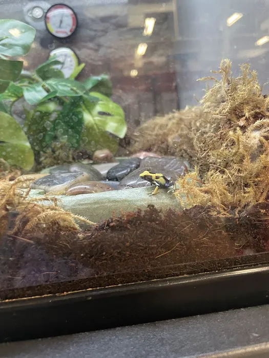 Petco Picture 6