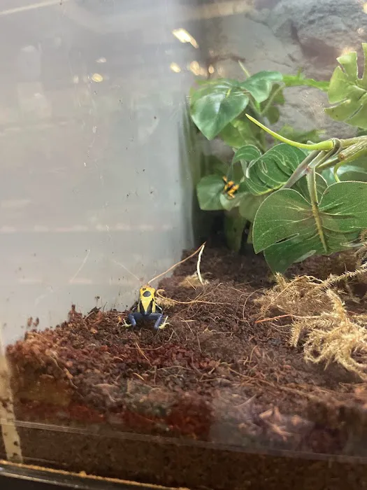 Petco Picture 9