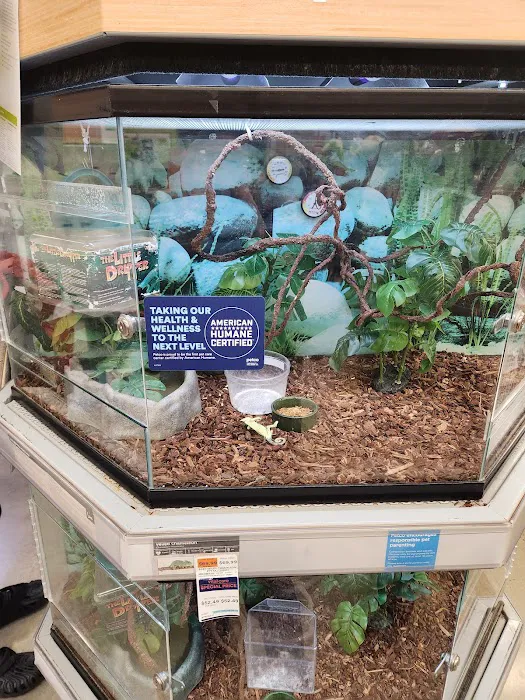 Petco Picture 3