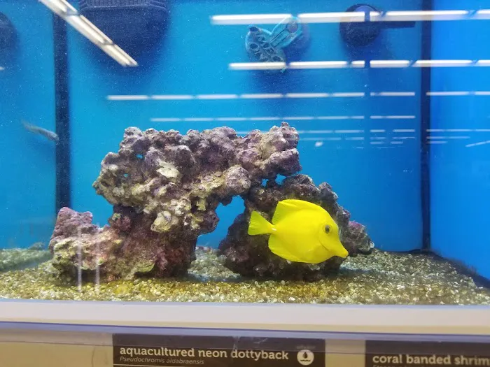 Petco Picture 4
