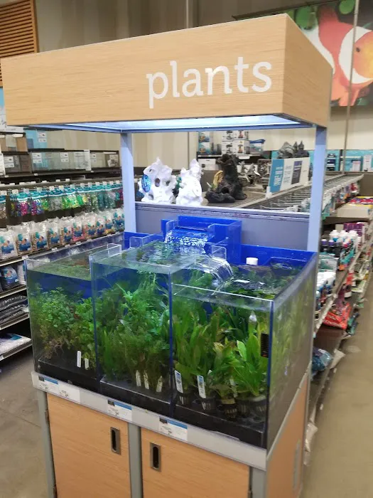 Petco Picture 10