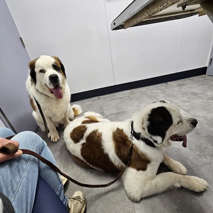Willow Creek Veterinary Center Picture 4