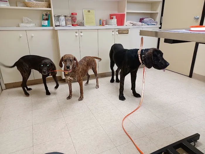 Willow Creek Veterinary Center Picture 9
