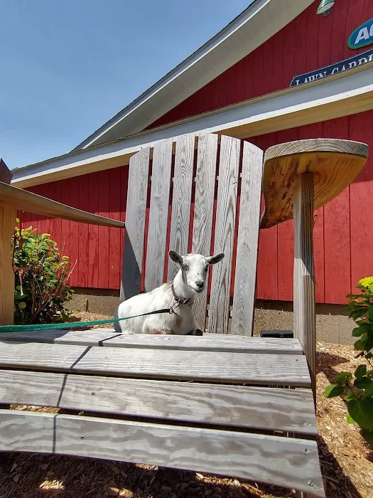 Willow Creek Veterinary Center Picture 7